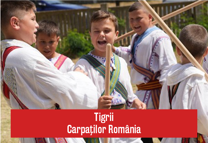 Tigrii Carpaților România