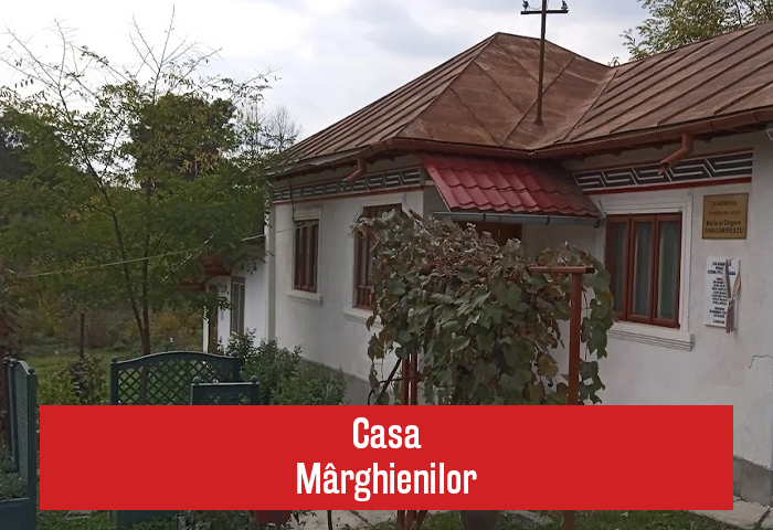 Tigrii Carpaților România